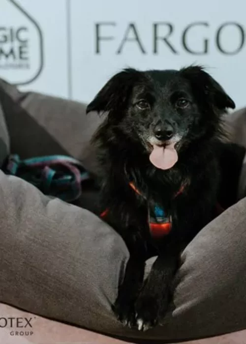 petfriendly_1