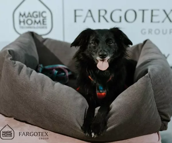 petfriendly_1