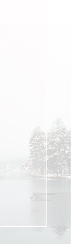 Four Seasons