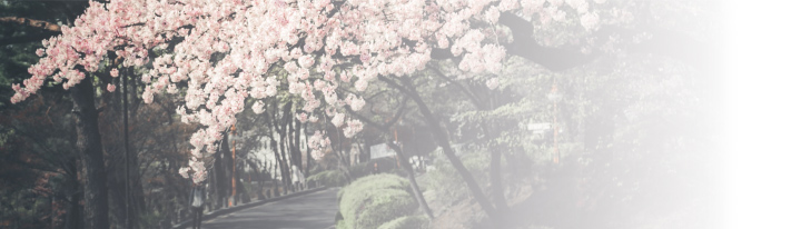 Four Seasons