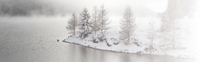 Four Seasons