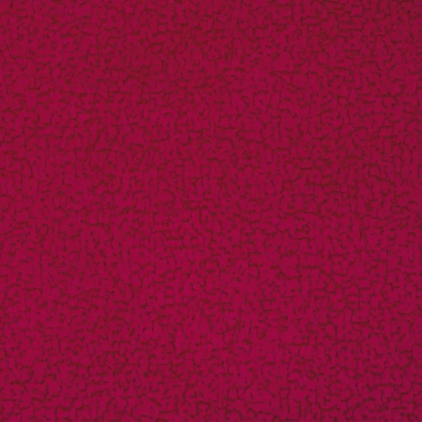 Focus - obrazek 8