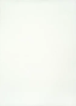 BASIC WHITE
