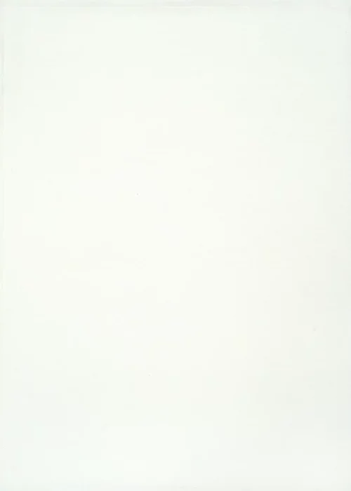 BASIC WHITE