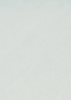BASIC WHITE